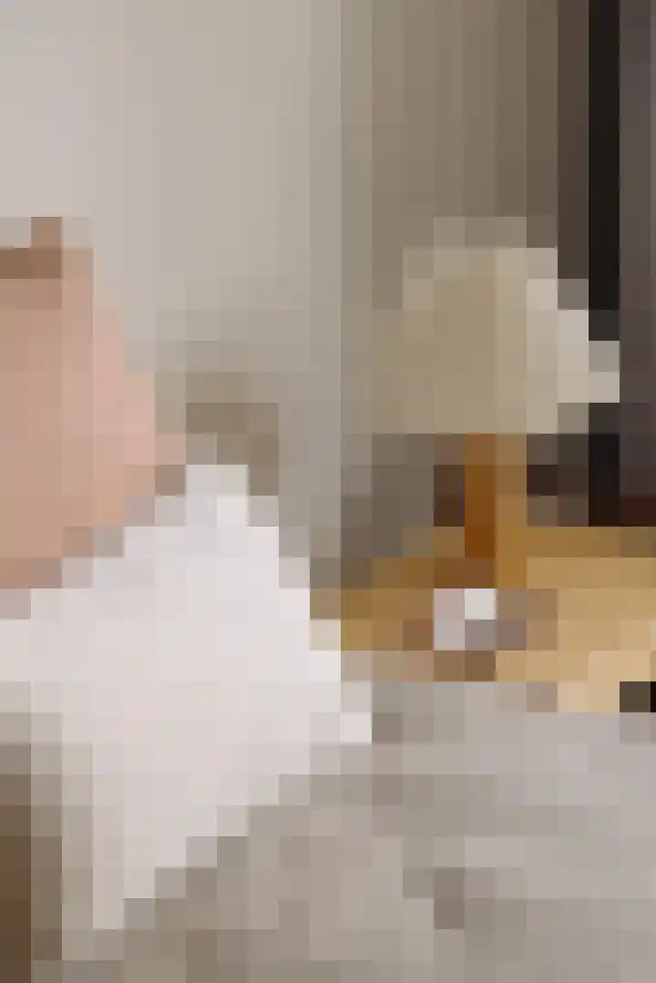 Palestrinastraat 12 2 Amsterdam thumbnail 26