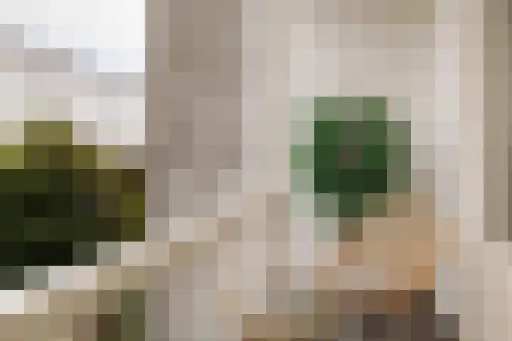 Palestrinastraat 12 2 Amsterdam thumbnail 27