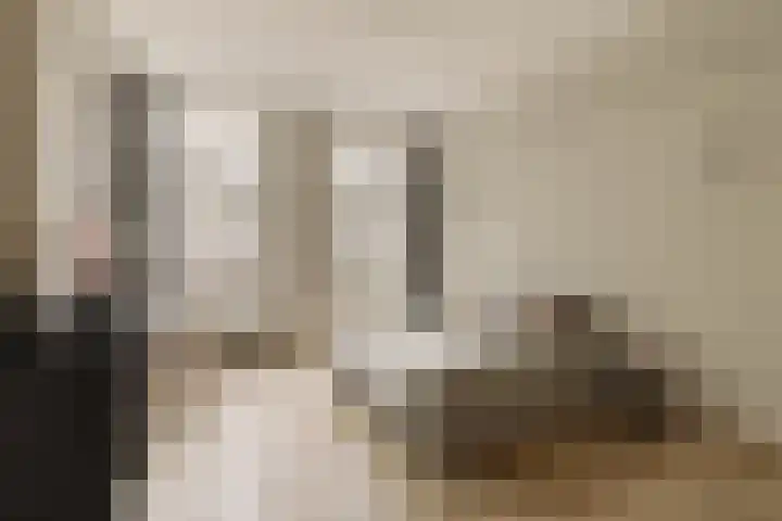 Palestrinastraat 12 2 Amsterdam thumbnail 28