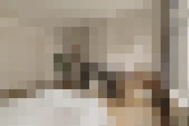 Palestrinastraat 12 2 Amsterdam thumbnail 29