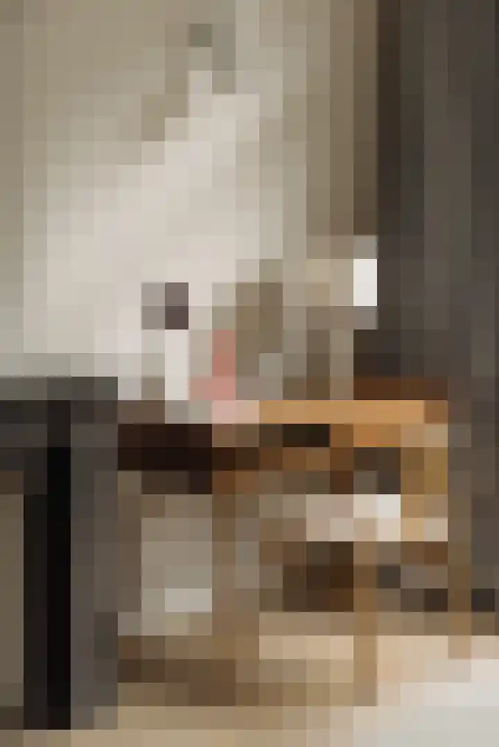 Palestrinastraat 12 2 Amsterdam thumbnail 30