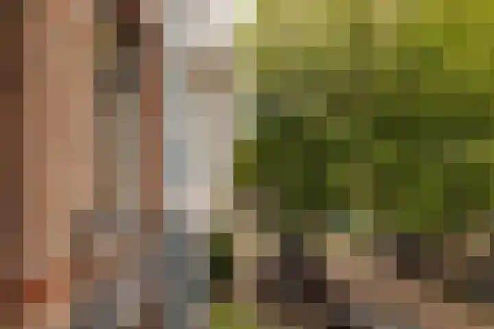 Palestrinastraat 12 2 Amsterdam thumbnail 31