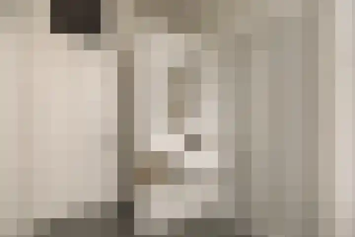 Palestrinastraat 12 2 Amsterdam thumbnail 35