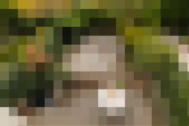 Palestrinastraat 12 2 Amsterdam thumbnail 36