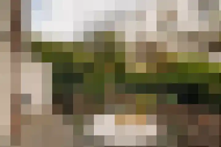 Palestrinastraat 12 2 Amsterdam thumbnail 37