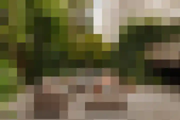 Palestrinastraat 12 2 Amsterdam thumbnail 38