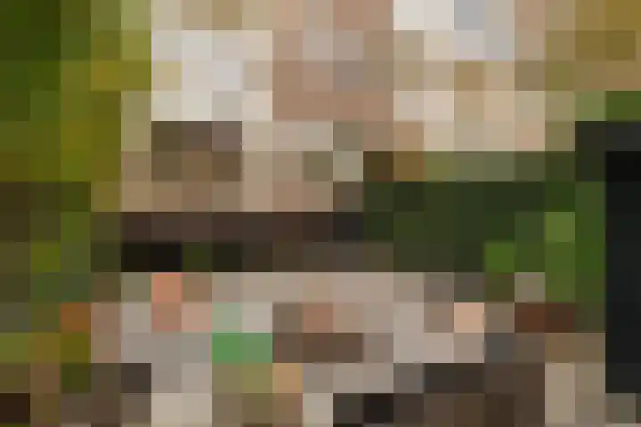 Palestrinastraat 12 2 Amsterdam thumbnail 39