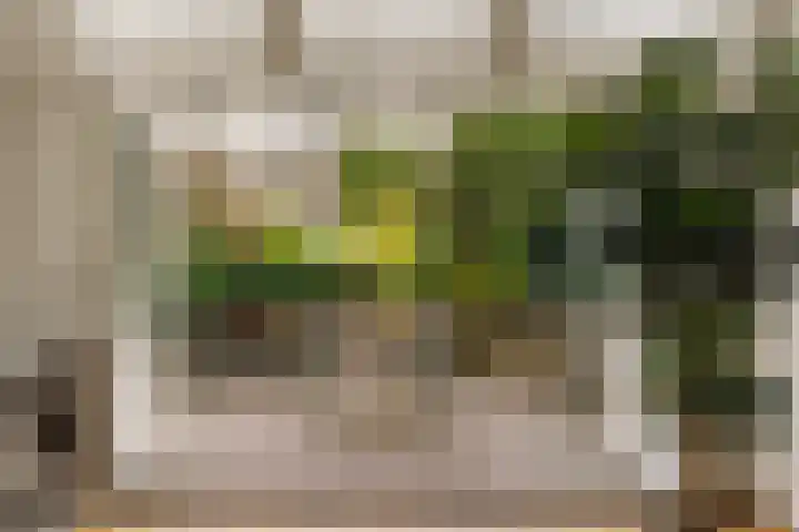 Palestrinastraat 12 2 Amsterdam thumbnail 4