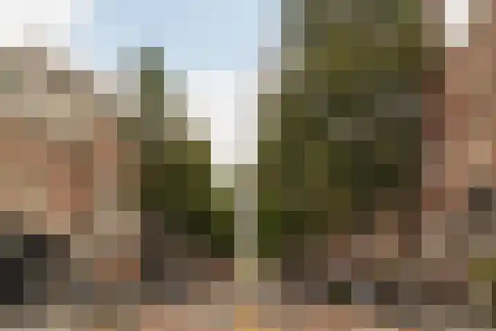 Palestrinastraat 12 2 Amsterdam thumbnail 41