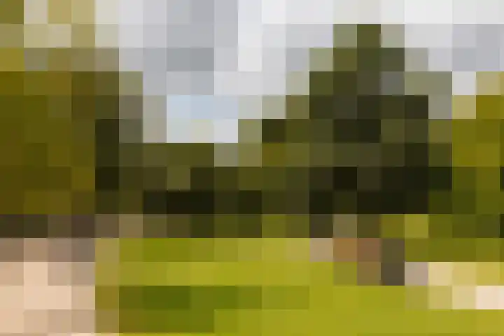 Palestrinastraat 12 2 Amsterdam thumbnail 44