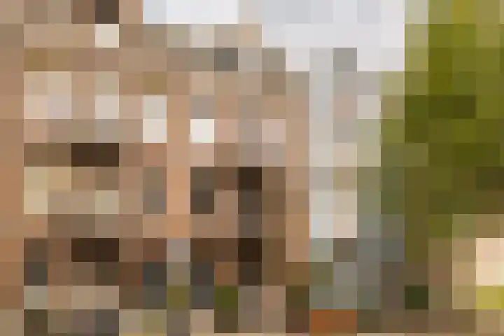 Palestrinastraat 12 2 Amsterdam thumbnail 5