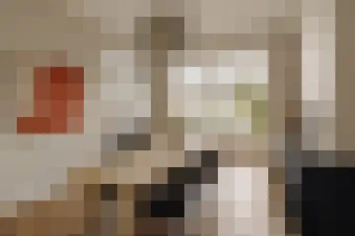 Palestrinastraat 12 2 Amsterdam thumbnail 52