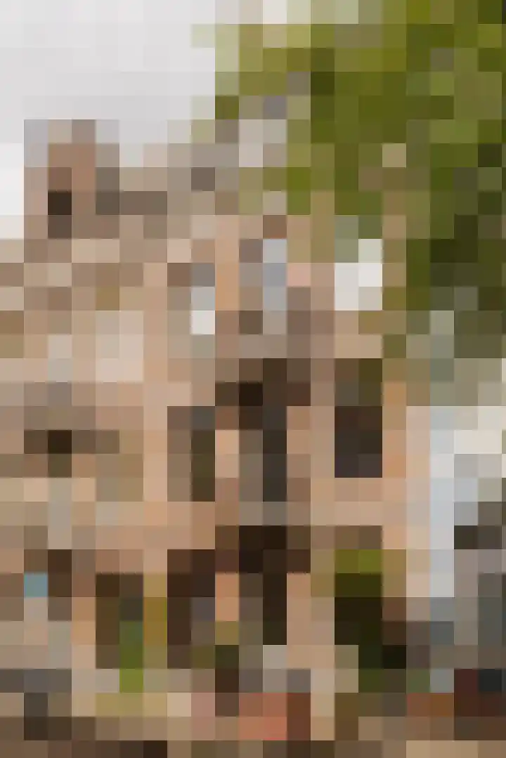 Palestrinastraat 12 2 Amsterdam thumbnail 6
