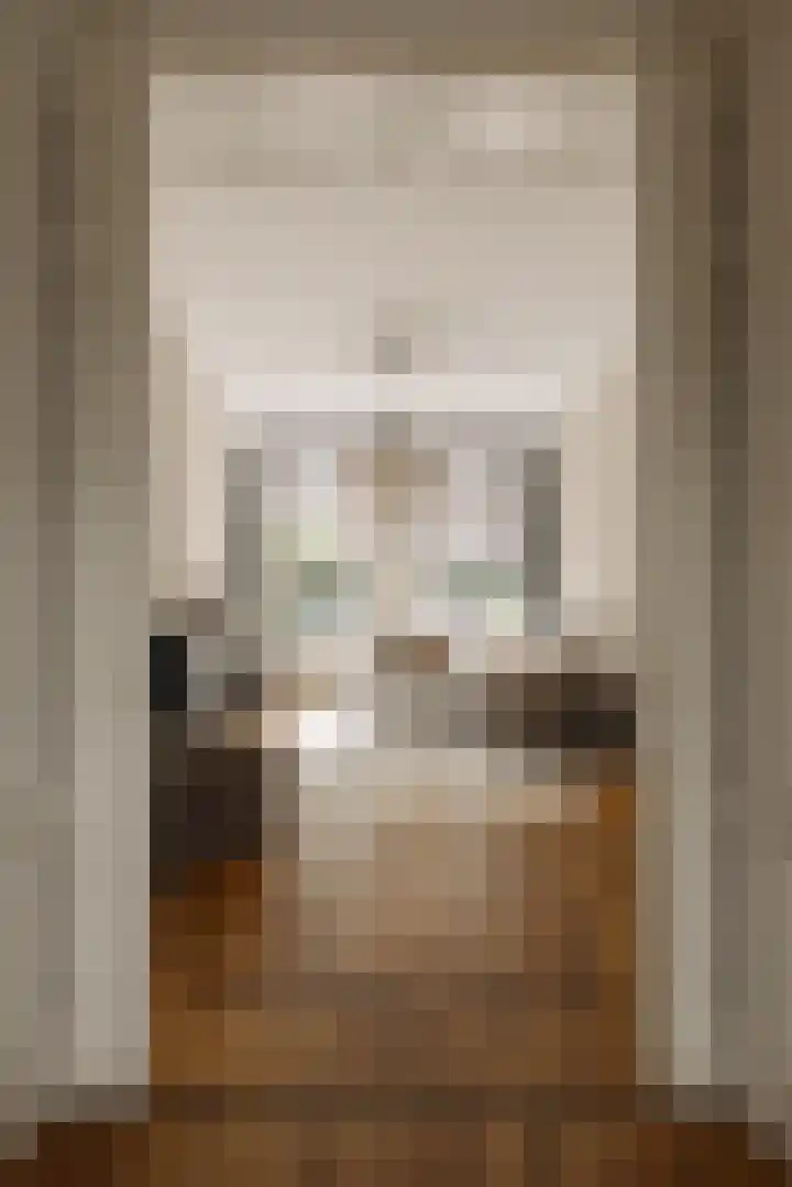 Palestrinastraat 12 2 Amsterdam thumbnail 9