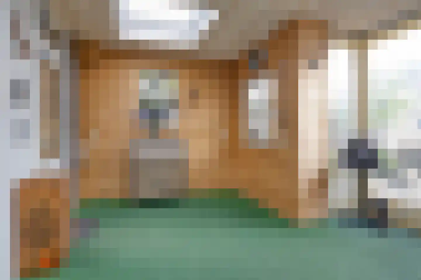 Palestrinastraat 16 Boxtel thumbnail 13