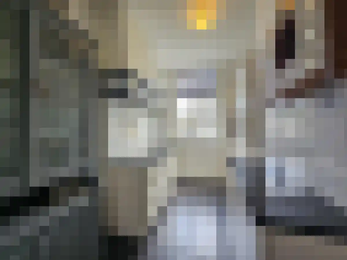 Palestrinastraat 23 C Amsterdam thumbnail 6