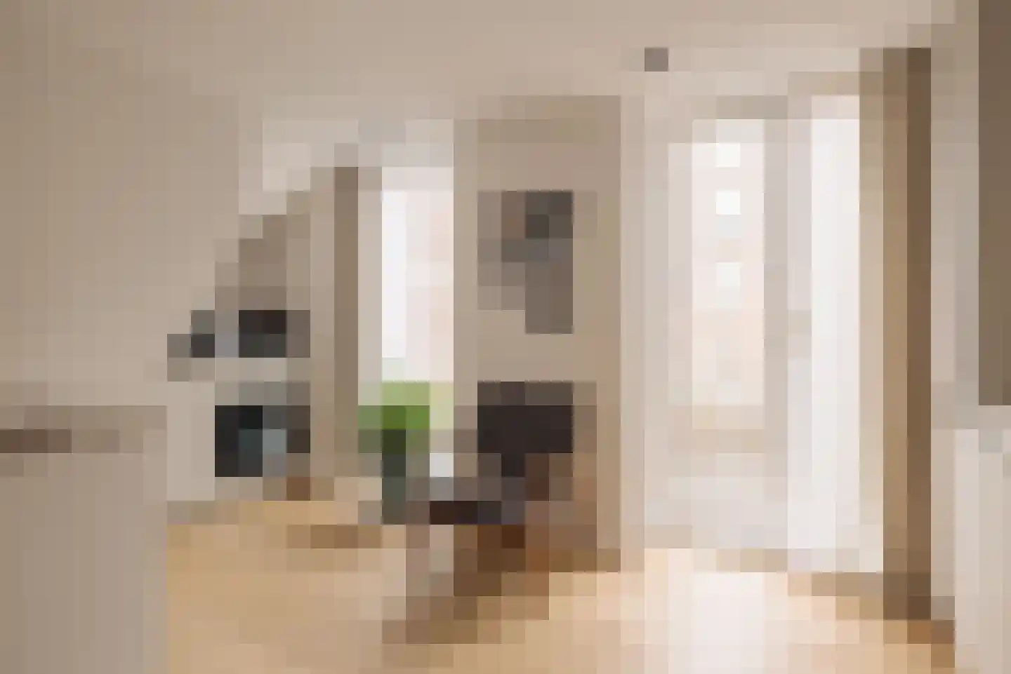 Palestrinastraat 29 1 Amsterdam thumbnail 12