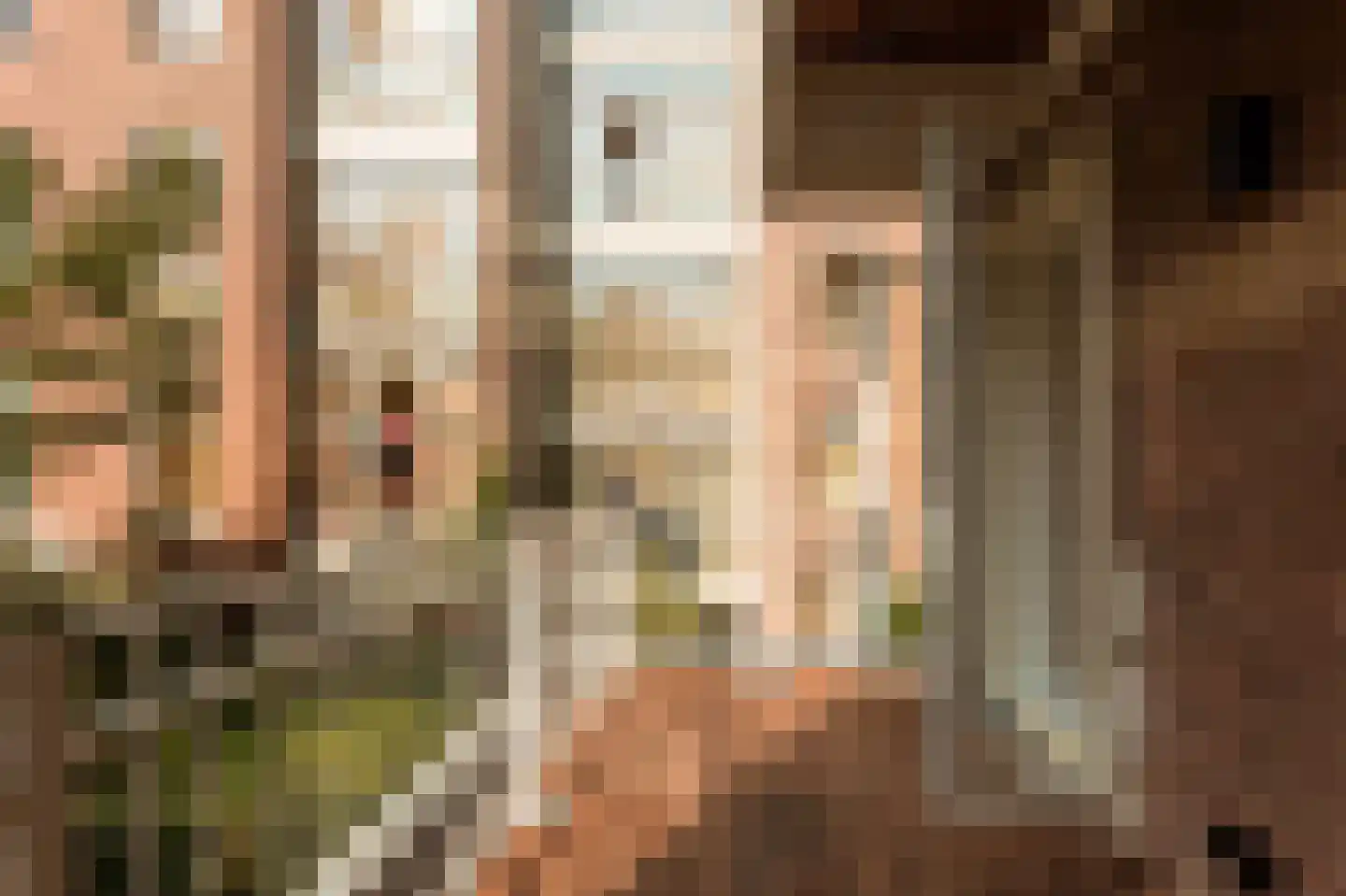 Palestrinastraat 29 1 Amsterdam thumbnail 13