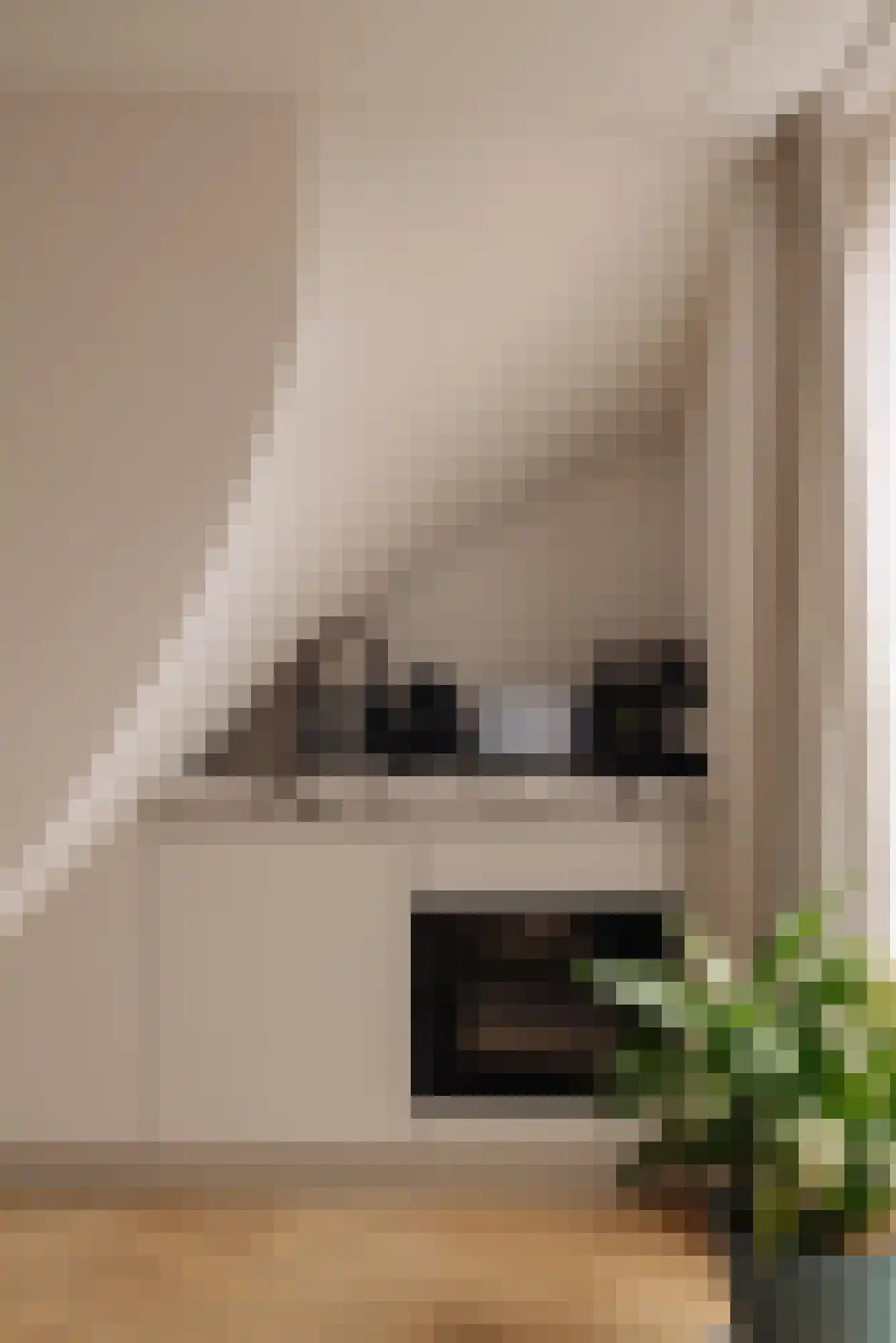 Palestrinastraat 29 1 Amsterdam thumbnail 14