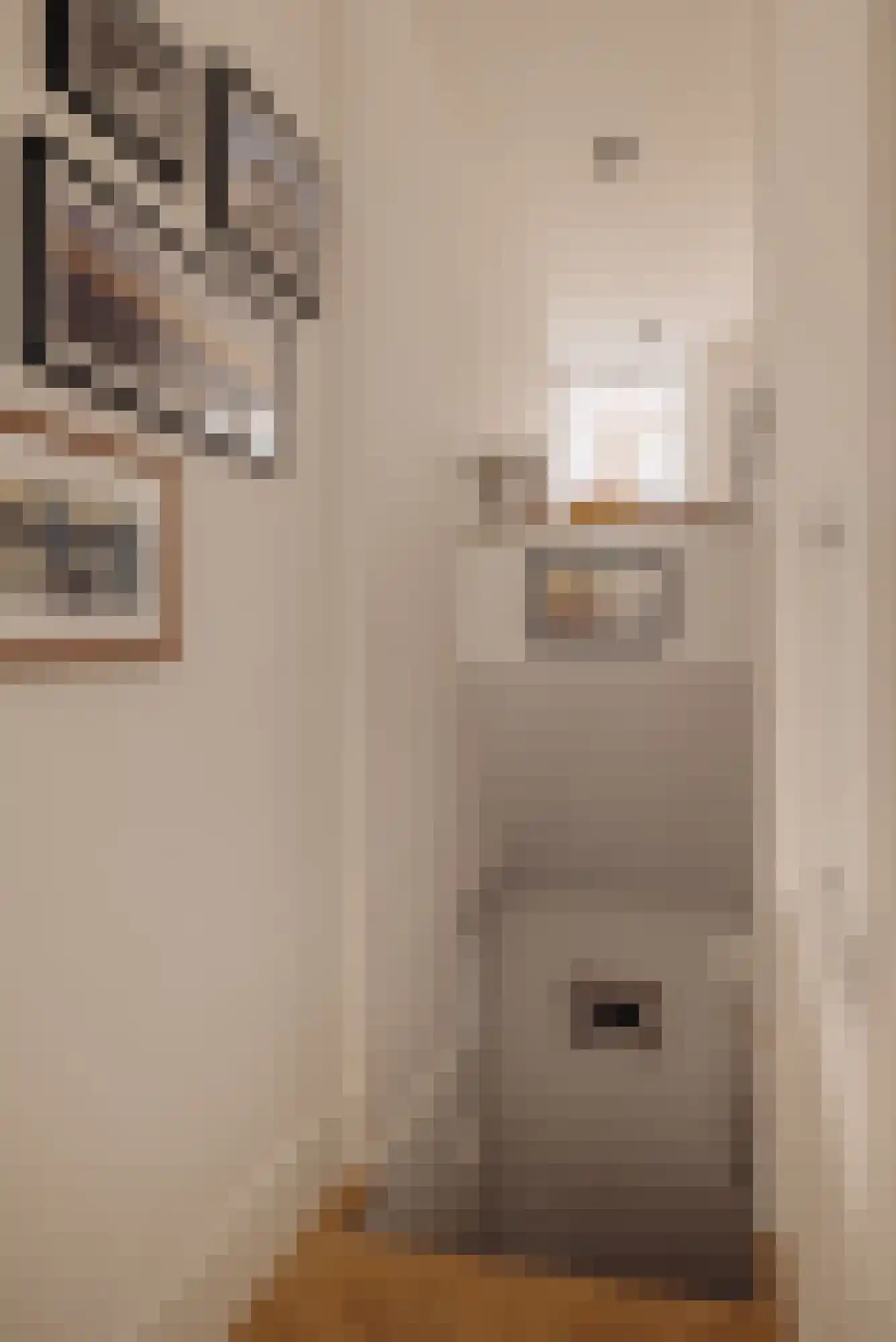 Palestrinastraat 29 1 Amsterdam thumbnail 18