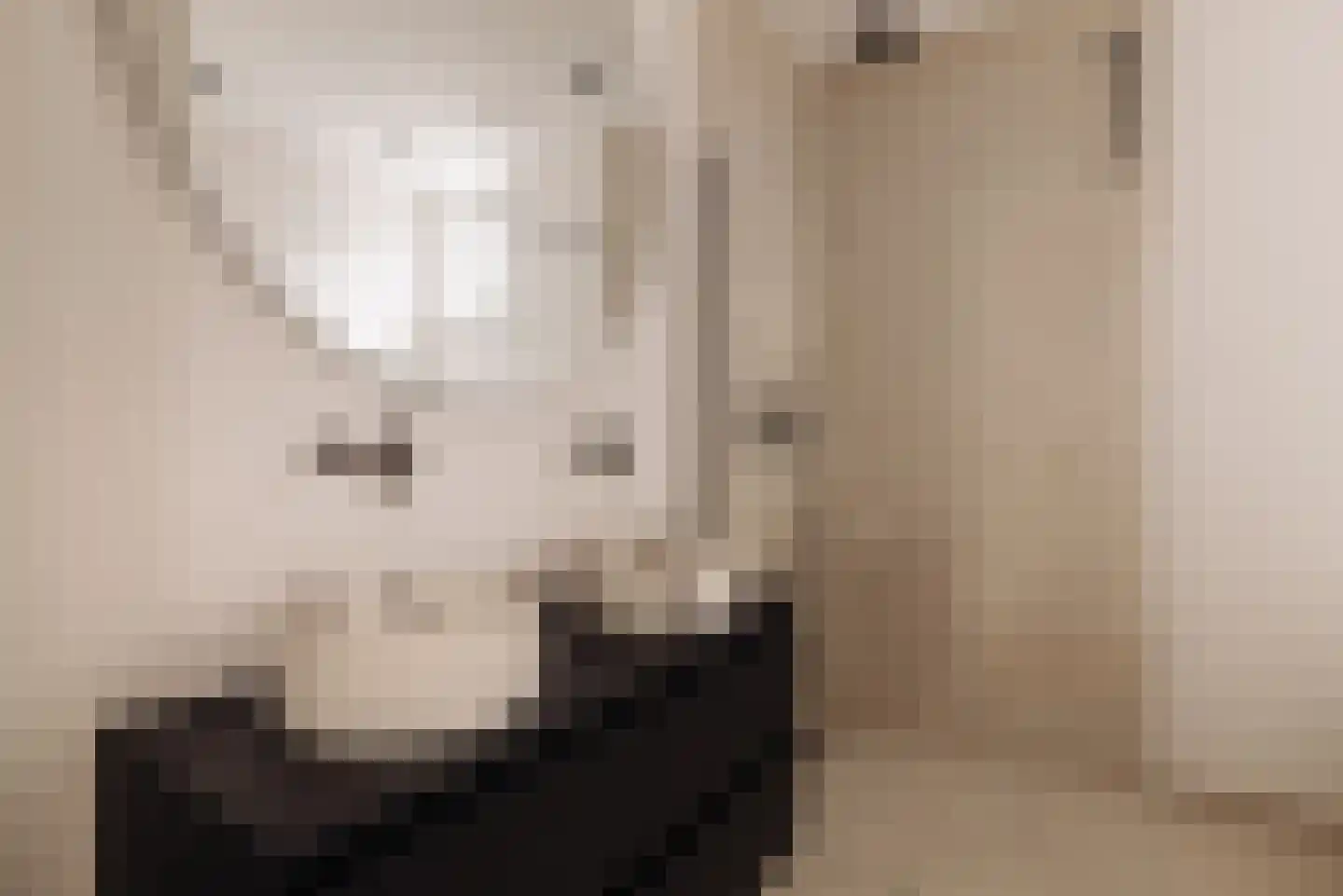 Palestrinastraat 29 1 Amsterdam thumbnail 19