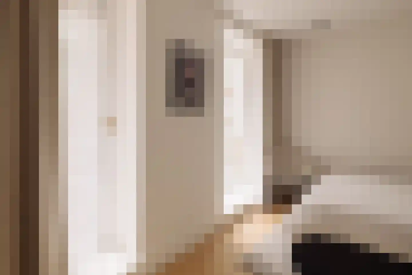 Palestrinastraat 29 1 Amsterdam thumbnail 21