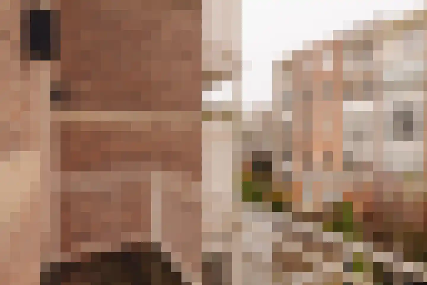 Palestrinastraat 29 1 Amsterdam thumbnail 22