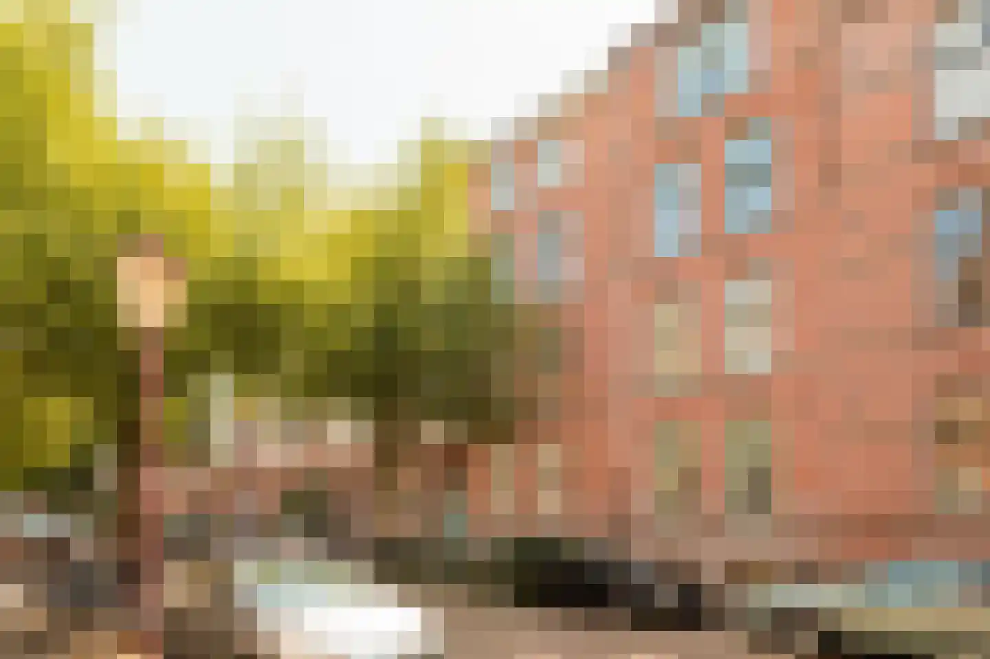 Palestrinastraat 29 1 Amsterdam thumbnail 23