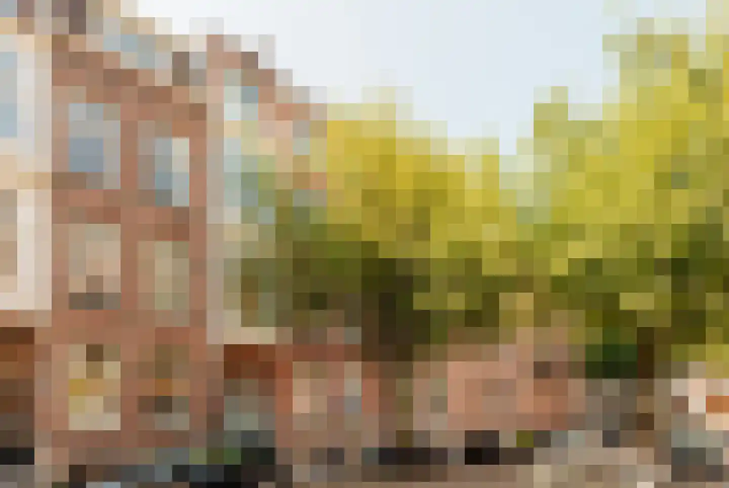 Palestrinastraat 29 1 Amsterdam thumbnail 6