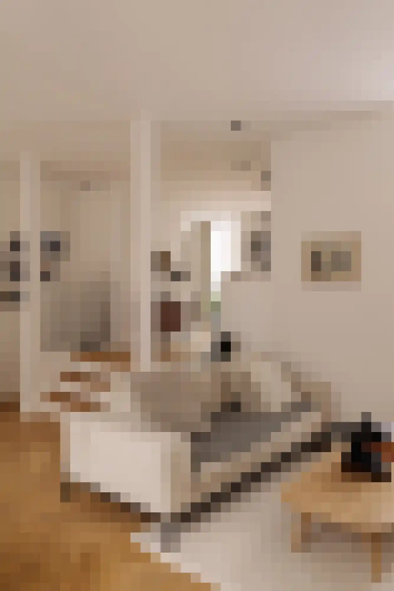 Palestrinastraat 29 1 Amsterdam thumbnail 9