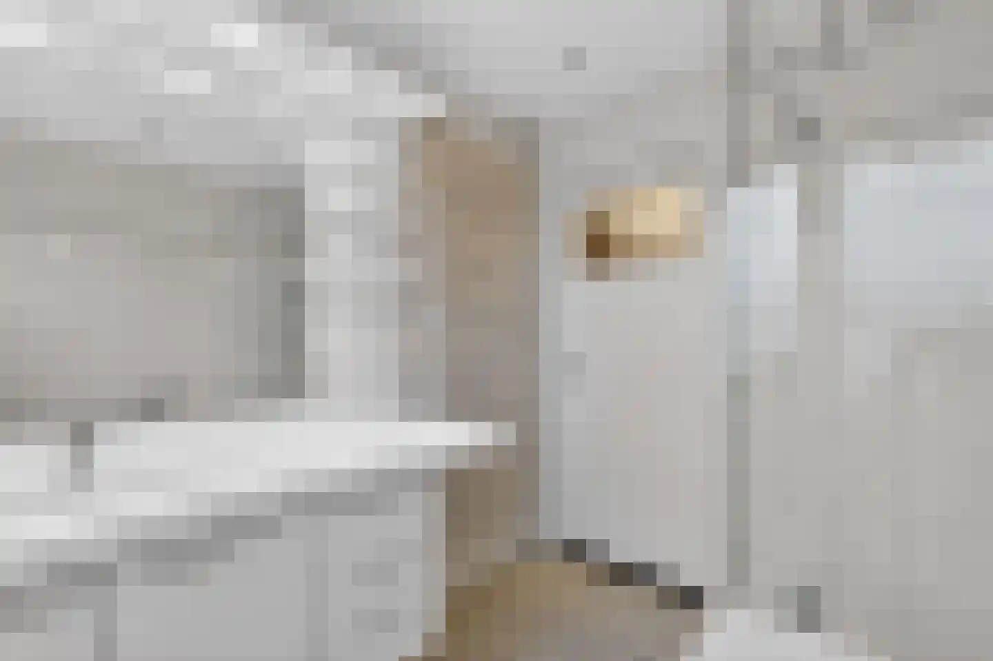 Palestrinastraat 3 Arnhem thumbnail 21