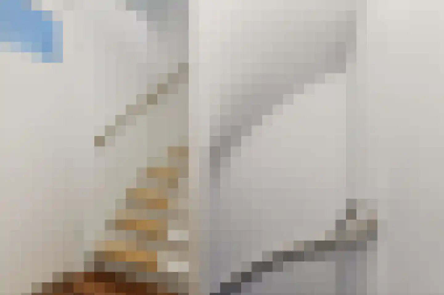 Palestrinastraat 3 Arnhem thumbnail 23