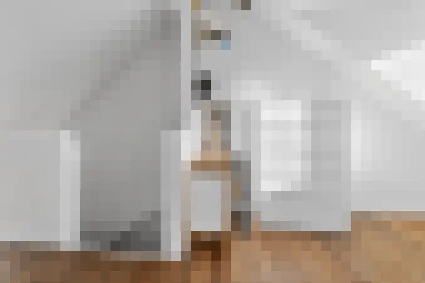 Palestrinastraat 3 Arnhem thumbnail 24