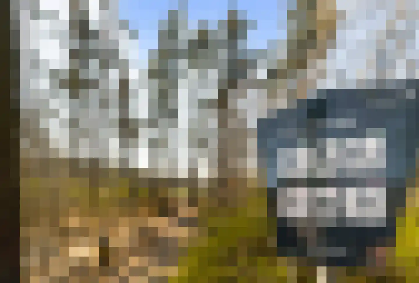 Palestrinastraat 3 Arnhem thumbnail 42