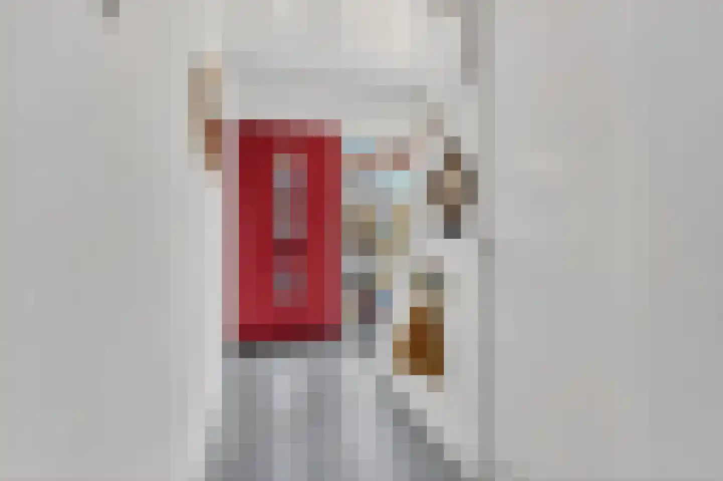Palestrinastraat 3 Arnhem thumbnail 5