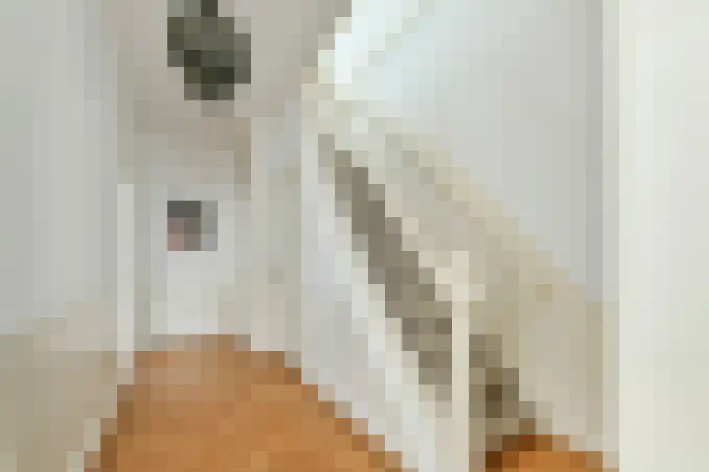 Palestrinastraat 32 2 Amsterdam thumbnail 12