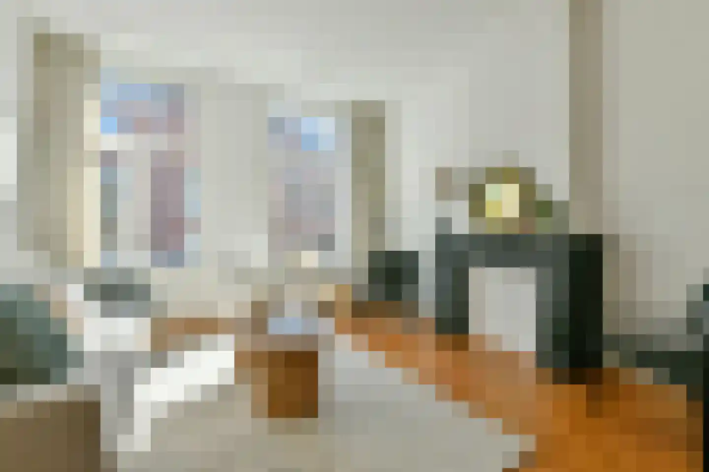 Palestrinastraat 32 2 Amsterdam thumbnail 5