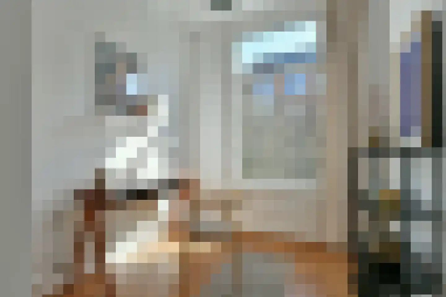 Palestrinastraat 32 2 Amsterdam thumbnail 8