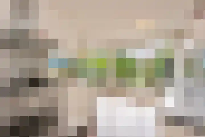 Palestrinastraat 5 Arnhem thumbnail 13