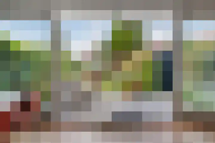 Palestrinastraat 5 Arnhem thumbnail 15
