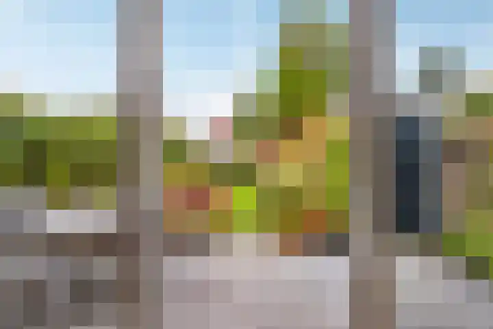 Palestrinastraat 5 Arnhem thumbnail 16