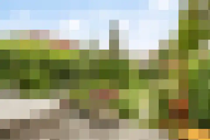 Palestrinastraat 5 Arnhem thumbnail 17
