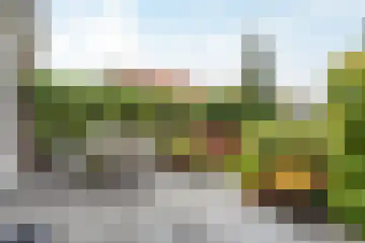 Palestrinastraat 5 Arnhem thumbnail 18