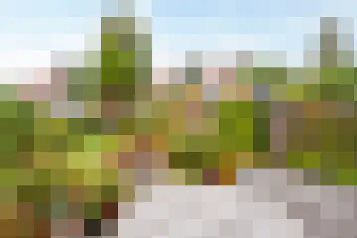 Palestrinastraat 5 Arnhem thumbnail 19
