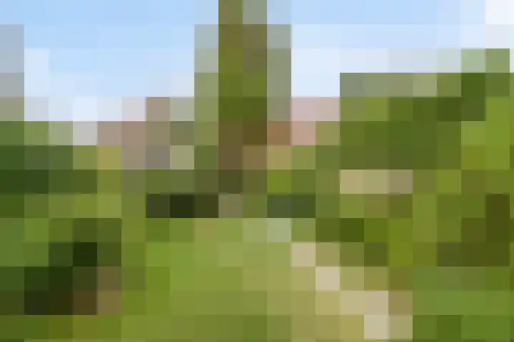 Palestrinastraat 5 Arnhem thumbnail 20