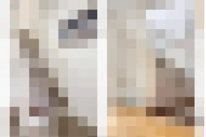 Palestrinastraat 5 Arnhem thumbnail 22