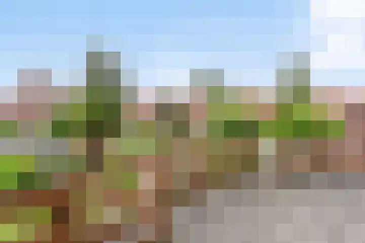 Palestrinastraat 5 Arnhem thumbnail 26