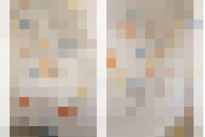 Palestrinastraat 5 Arnhem thumbnail 27