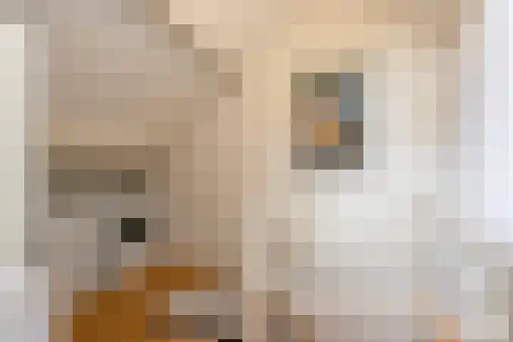 Palestrinastraat 5 Arnhem thumbnail 29