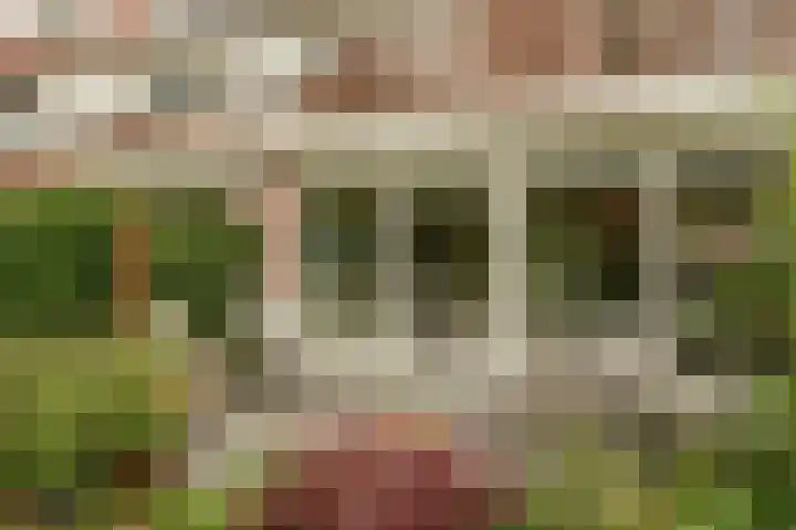Palestrinastraat 5 Arnhem thumbnail 32